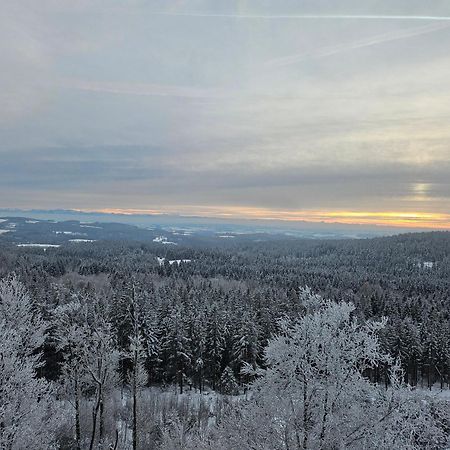 Apartmany Lipnoczech フリンブルク エクステリア 写真