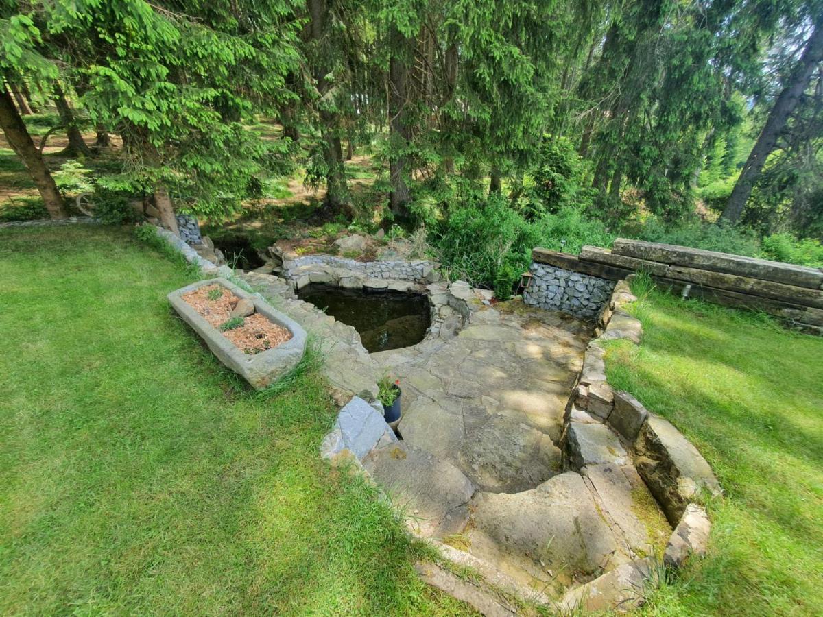 Apartmany Lipnoczech フリンブルク エクステリア 写真