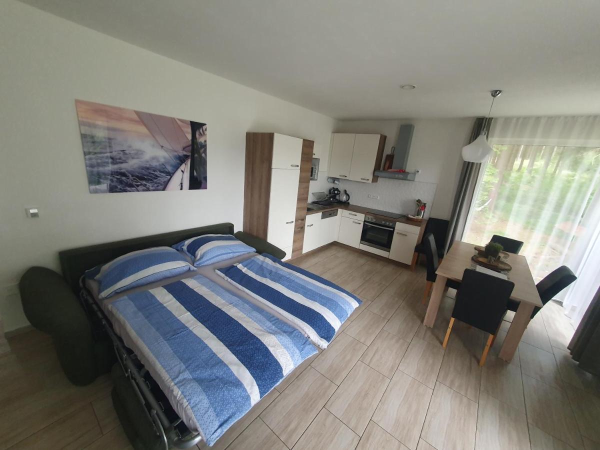 Apartmany Lipnoczech フリンブルク エクステリア 写真