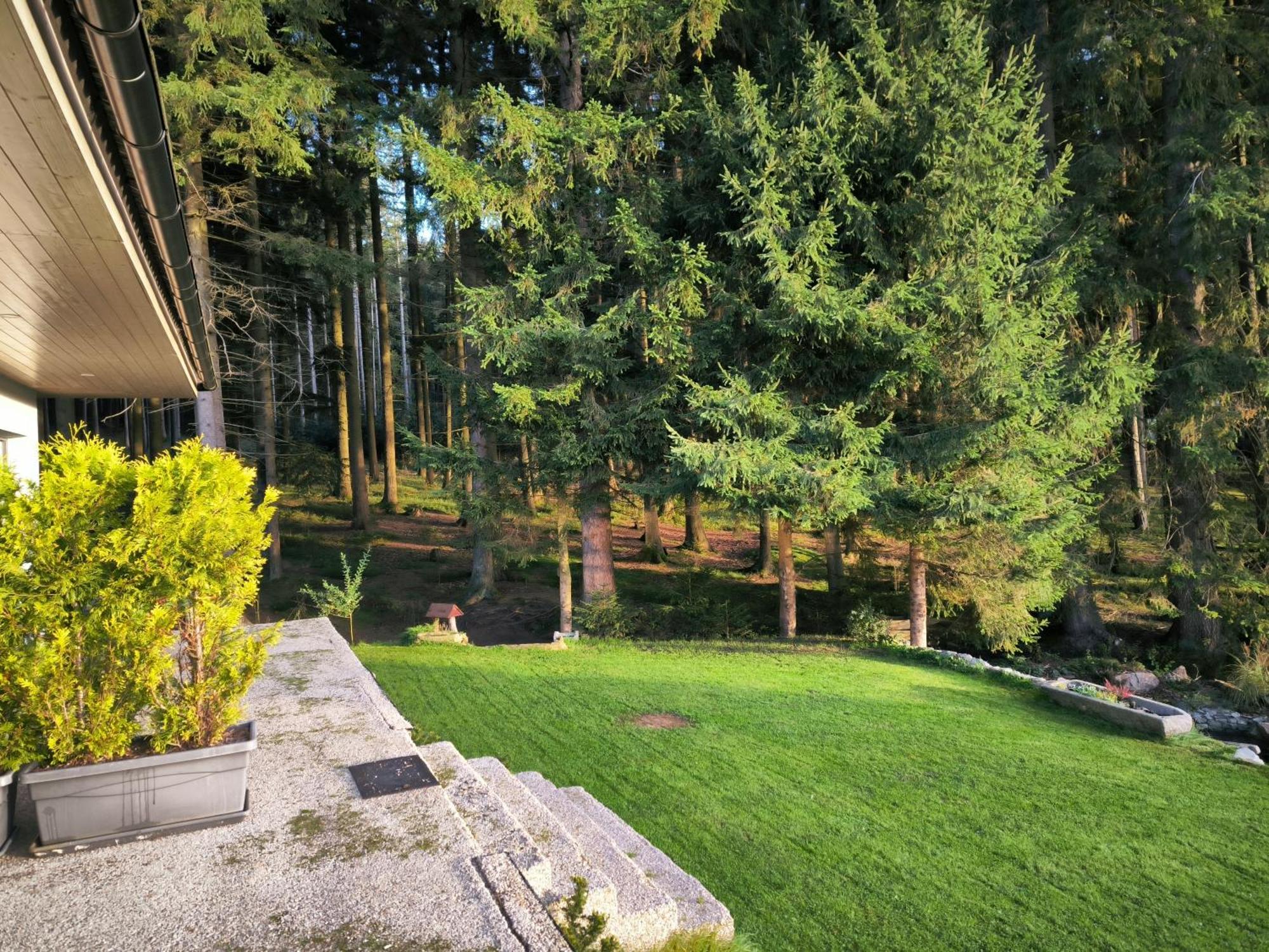 Apartmany Lipnoczech フリンブルク エクステリア 写真