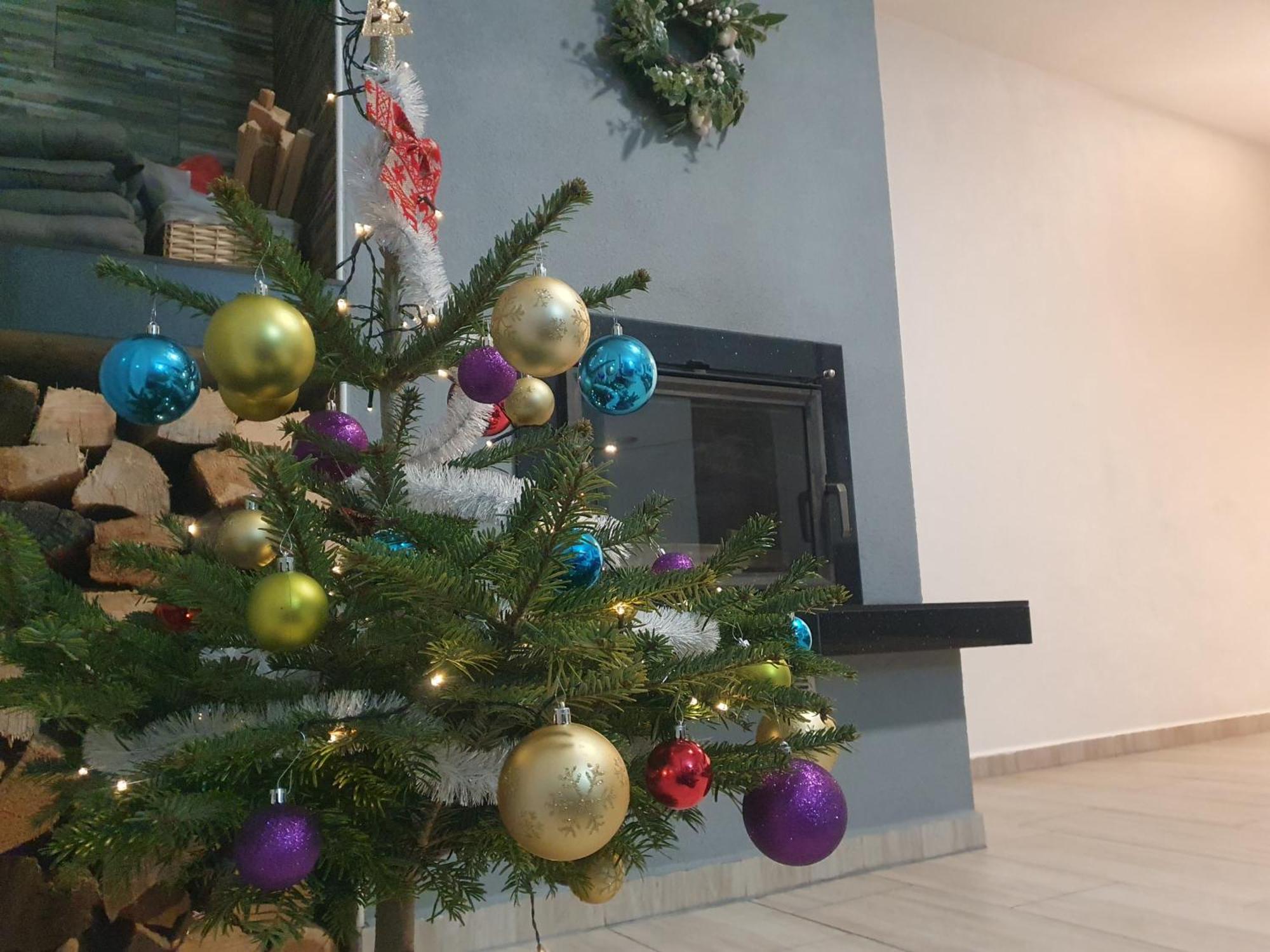 Apartmany Lipnoczech フリンブルク エクステリア 写真