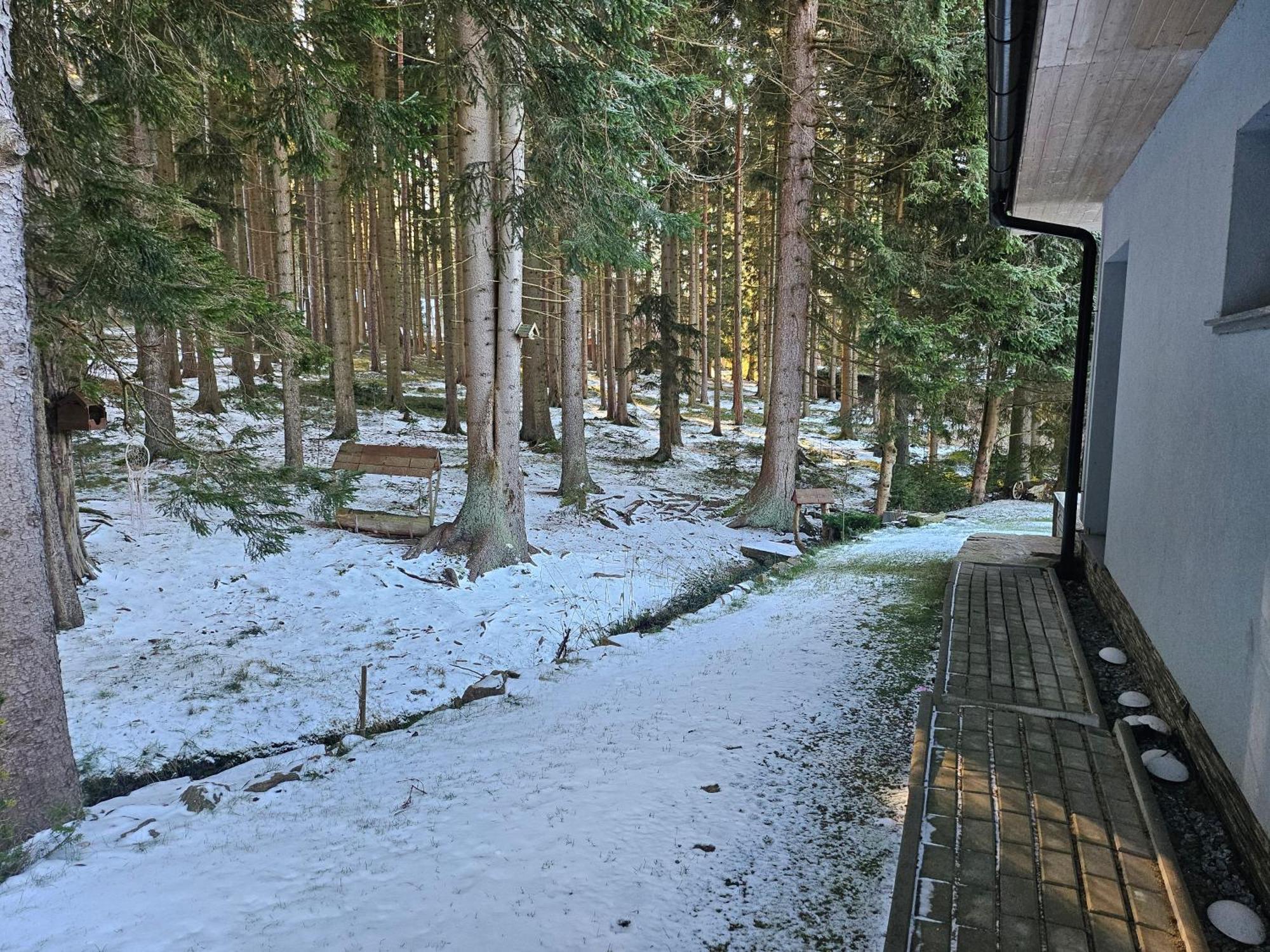 Apartmany Lipnoczech フリンブルク エクステリア 写真
